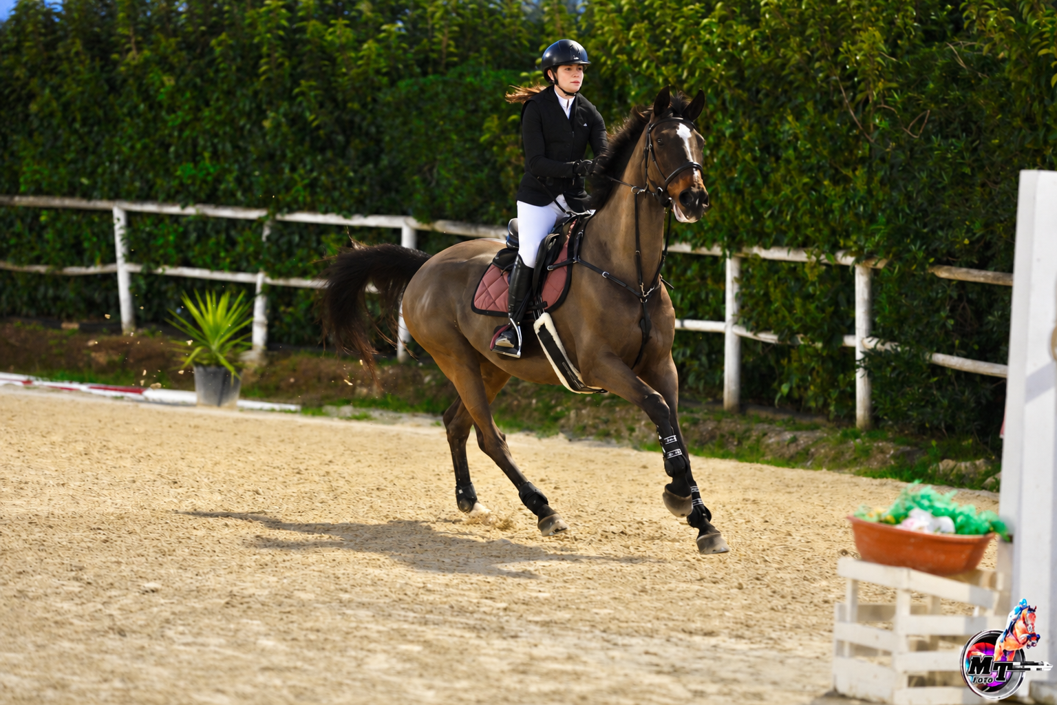 Amazzone in gara di salto ostacoli: la passione per lo sport equestre di Studio Carafa